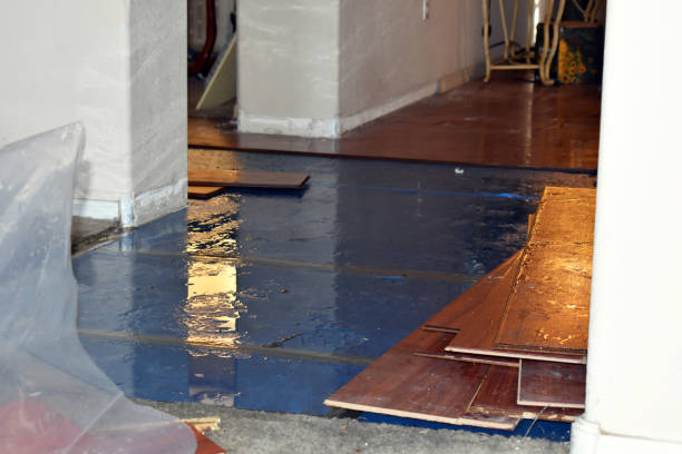Professional Sewage Cleanup technician working in Coleman, MI